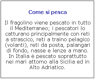 Casella di testo: Come si pesca

Il fragolino viene pescato in tutto il Mediterraneo; i pescatori lo catturano principalmente con reti a strascico, reti a traino pelagico (volanti), reti da posta, palangari di fondo, nasse e lenze a mano. In Italia  pescato soprattutto nei mari attorno alla Sicilia ed in Alto Adriatico. 
