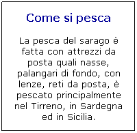 Casella di testo: Come si pesca

La pesca del sarago  fatta con attrezzi da posta quali nasse, palangari di fondo, con lenze, reti da posta,  pescato principalmente nel Tirreno, in Sardegna ed in Sicilia. 
