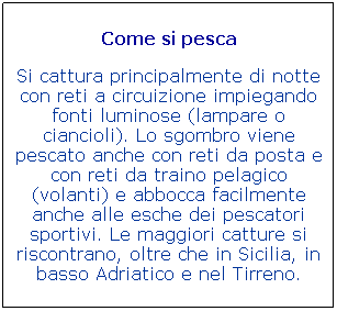 Casella di testo: Come si pesca

Si cattura principalmente di notte con reti a circuizione impiegando fonti luminose (lampare o ciancioli). Lo sgombro viene pescato anche con reti da posta e con reti da traino pelagico (volanti) e abbocca facilmente anche alle esche dei pescatori sportivi. Le maggiori catture si riscontrano, oltre che in Sicilia, in basso Adriatico e nel Tirreno. 
