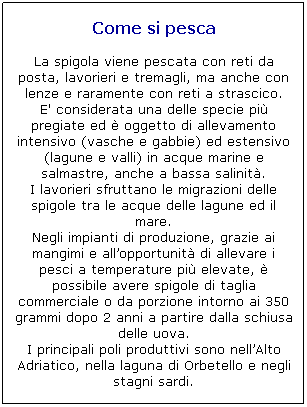 Casella di testo: Come si pesca

La spigola viene pescata con reti da posta, lavorieri e tremagli, ma anche con lenze e raramente con reti a strascico.
E' considerata una delle specie pi pregiate ed  oggetto di allevamento intensivo (vasche e gabbie) ed estensivo (lagune e valli) in acque marine e salmastre, anche a bassa salinit.
I lavorieri sfruttano le migrazioni delle spigole tra le acque delle lagune ed il mare.
Negli impianti di produzione, grazie ai mangimi e allopportunit di allevare i pesci a temperature pi elevate,  possibile avere spigole di taglia commerciale o da porzione intorno ai 350 grammi dopo 2 anni a partire dalla schiusa delle uova.
I principali poli produttivi sono nellAlto Adriatico, nella laguna di Orbetello e negli stagni sardi. 
